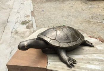 別墅烏龜雕塑廠家 卡通噴漆小品 戶外抽象烏龜雕塑