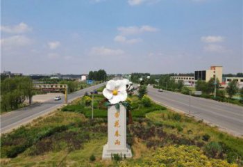 杏花雕塑常用，景觀概念，不銹鋼杏花雕塑廠家